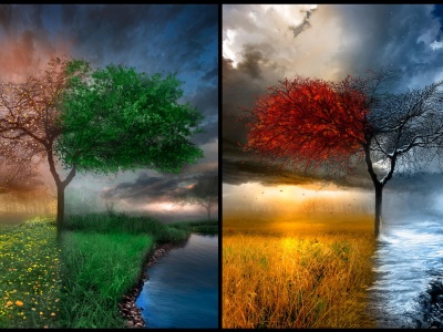 4 Seasons Art