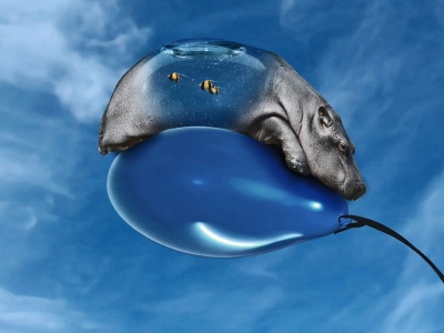 Animal On Balloon