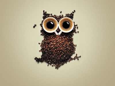 Artistic Coffee Funny Owls