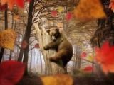 Bear Autumn Owl