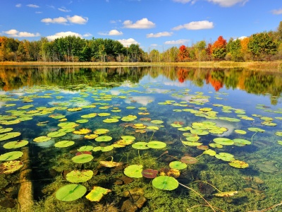 Beautiful Lake Scenery Autumn