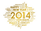 Best Wishes For The New Year 2014