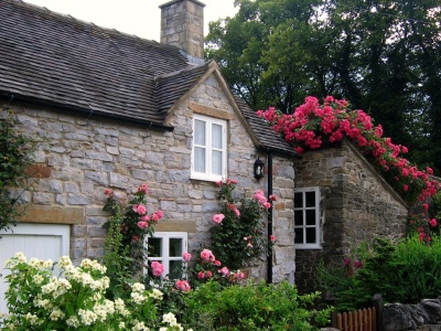 Cottage With Roses Village Of Thorpe Tissington Trail Derbyshire