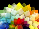 Digital Art Multicolored Flower