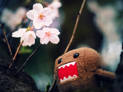 Domo Kun And Tree Blossoms