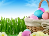 Easter Holiday Eggs Basket Flowers Grass Herbs