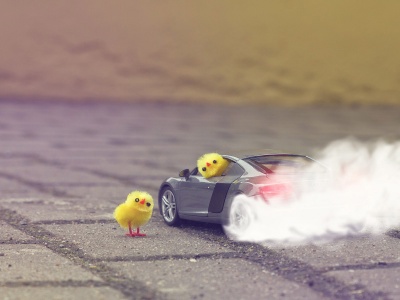 Funny Yellow Chickens In Audi R8