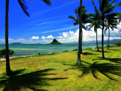 Hawaii Beach Nature1