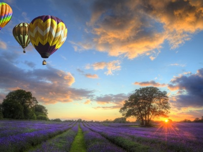 Hot Air Balloons Flying Over Land