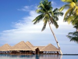 Maldives Entertainment Center Beach Resort Geography Asia Travel Nature