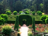 Maze At Chatsworth