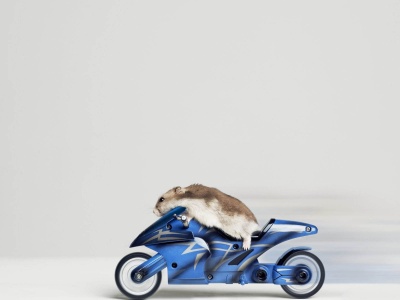 Mouse Riding Motorcycle