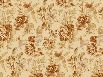 Patterns Flowers Petals Shape Background