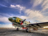 Planes Painted Aviation