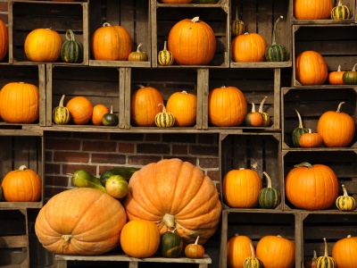 Pumpkins Autumn Art