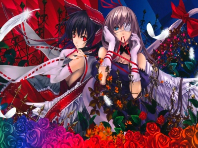 Reimu And Yukari Roses Feathers Anime