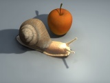 Schnecke Is The File Name