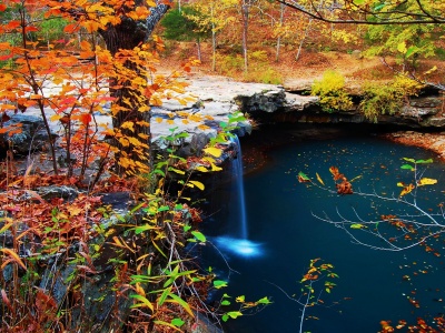 Waterfall Creek Autumn Leaves