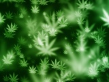 Weed Bokeh