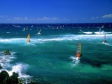 Wind Surfing Surfer Maui