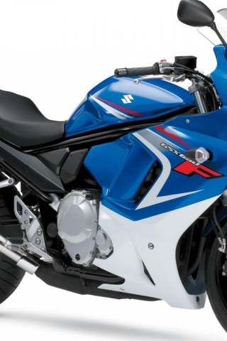 2009 Suzuki GSX 650F