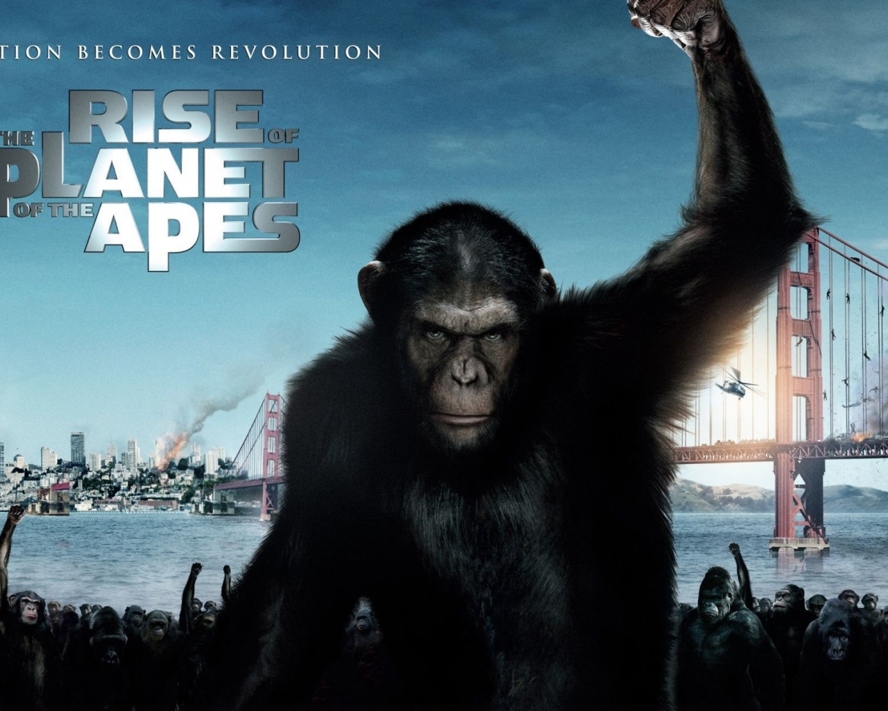 2011 Rise Of The Planet Of The Apes Poster Movie