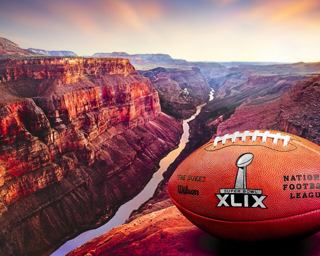 2015 Official Ball Super Bowl XLIX