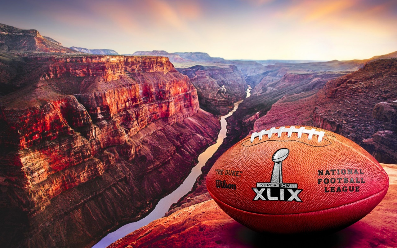 2015 Official Ball Super Bowl XLIX