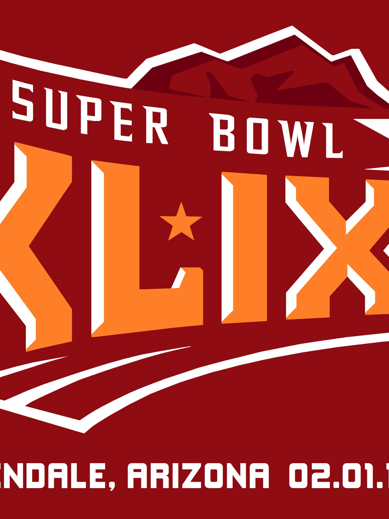 2015 Super Bowl XLIX Official Logo