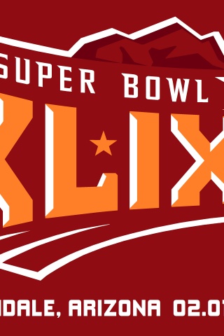 2015 Super Bowl XLIX Official Logo