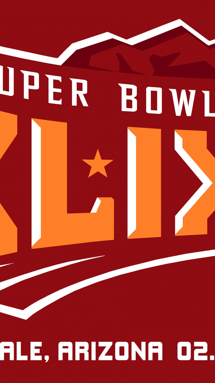 2015 Super Bowl XLIX Official Logo