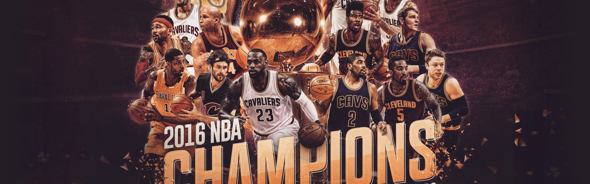 2016 Nba Champions