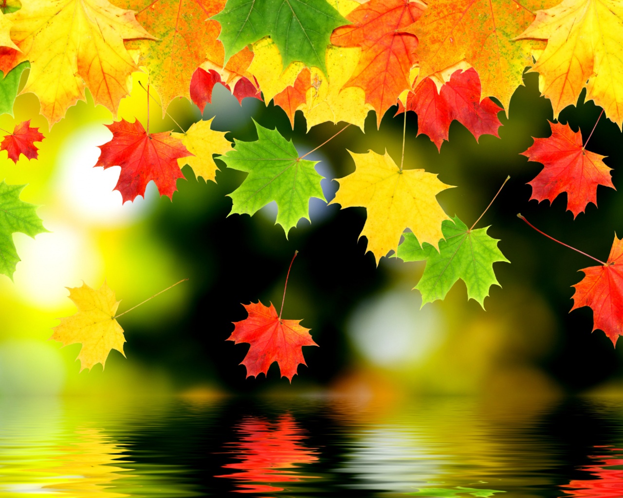 3d Autumn Leaves