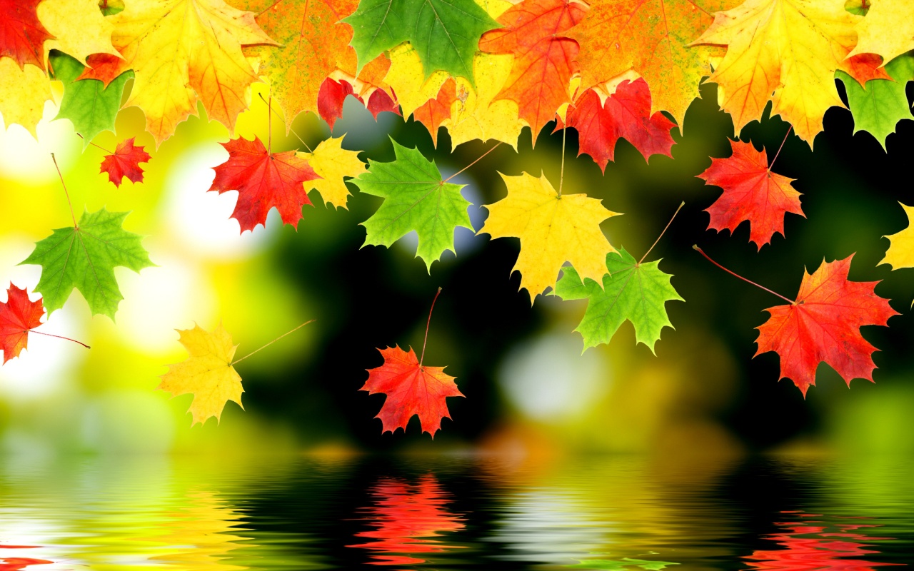 3d Autumn Leaves