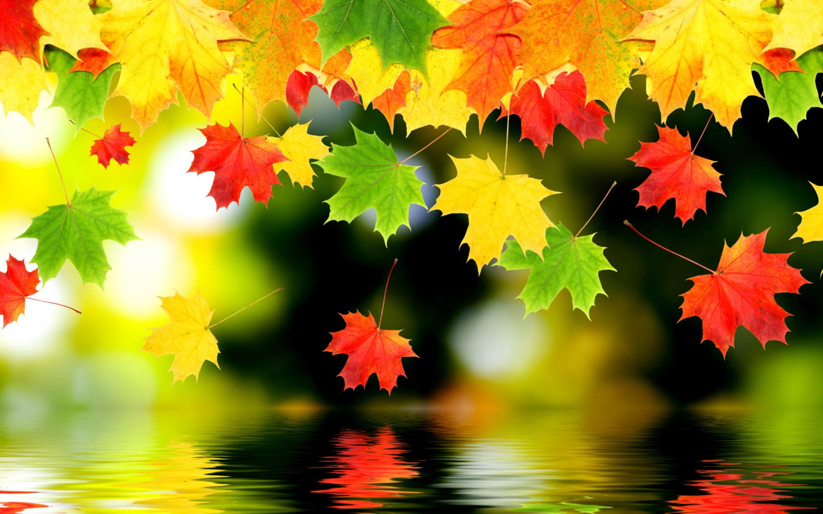 3d Autumn Leaves