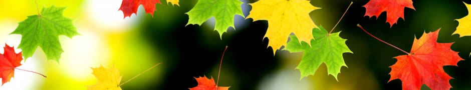 3d Autumn Leaves