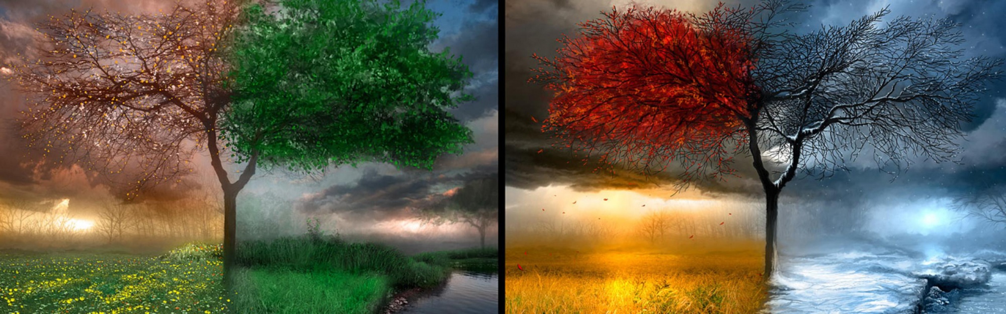 4 Seasons Art