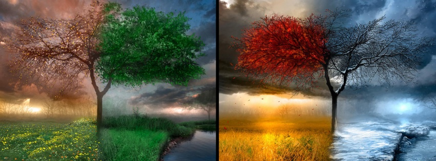 4 Seasons Art