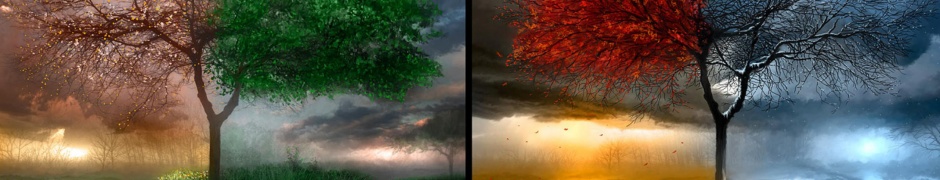 4 Seasons Art