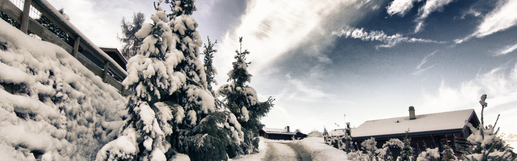 A Mountain Road In Winter