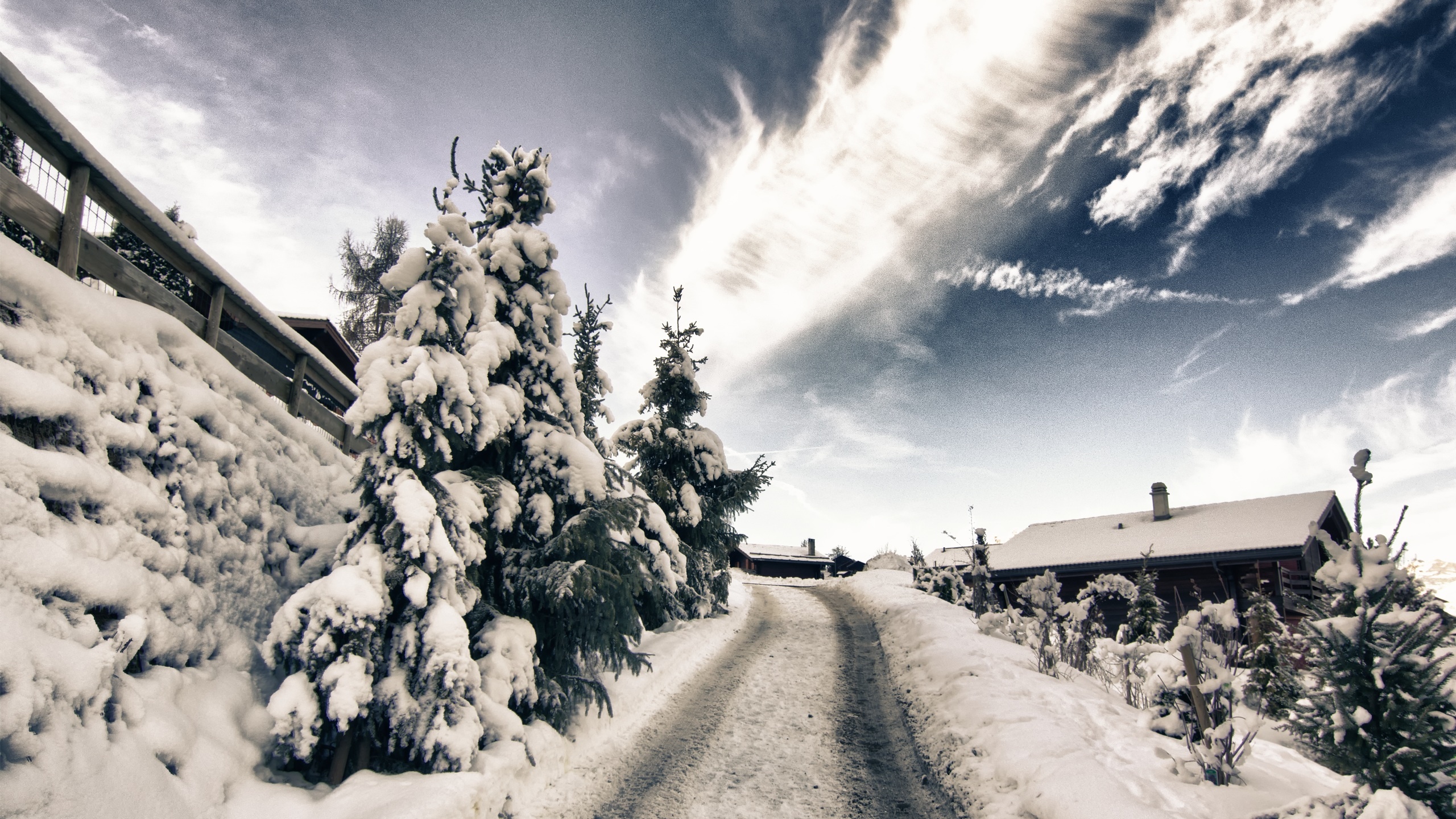 A Mountain Road In Winter