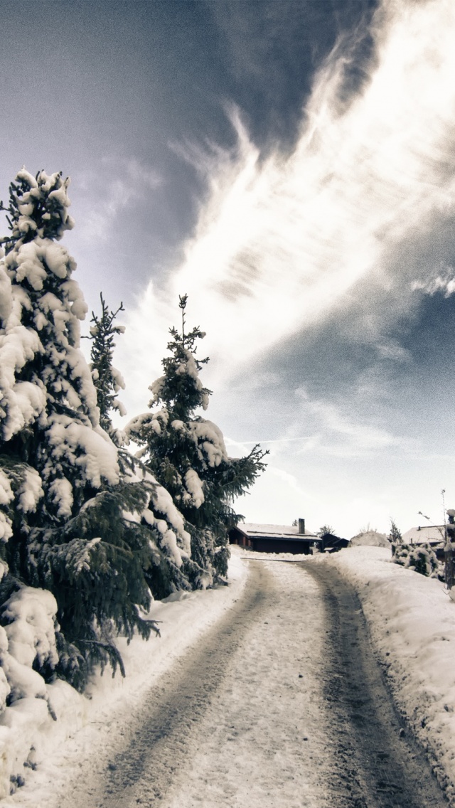 A Mountain Road In Winter