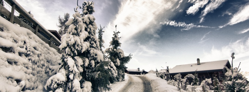 A Mountain Road In Winter