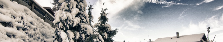 A Mountain Road In Winter