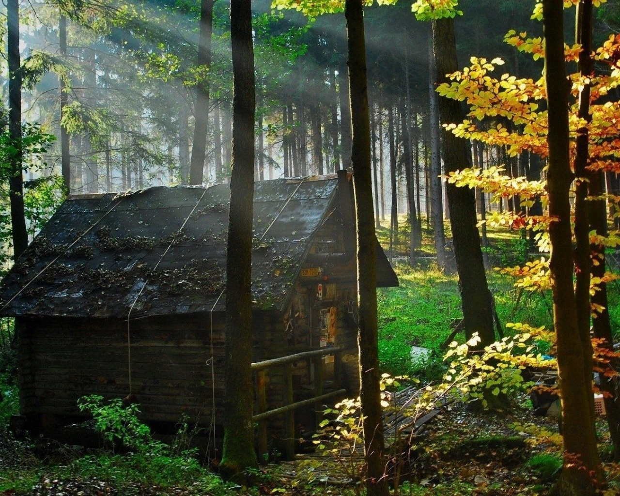 Abandoned Hut Nature Landscapes