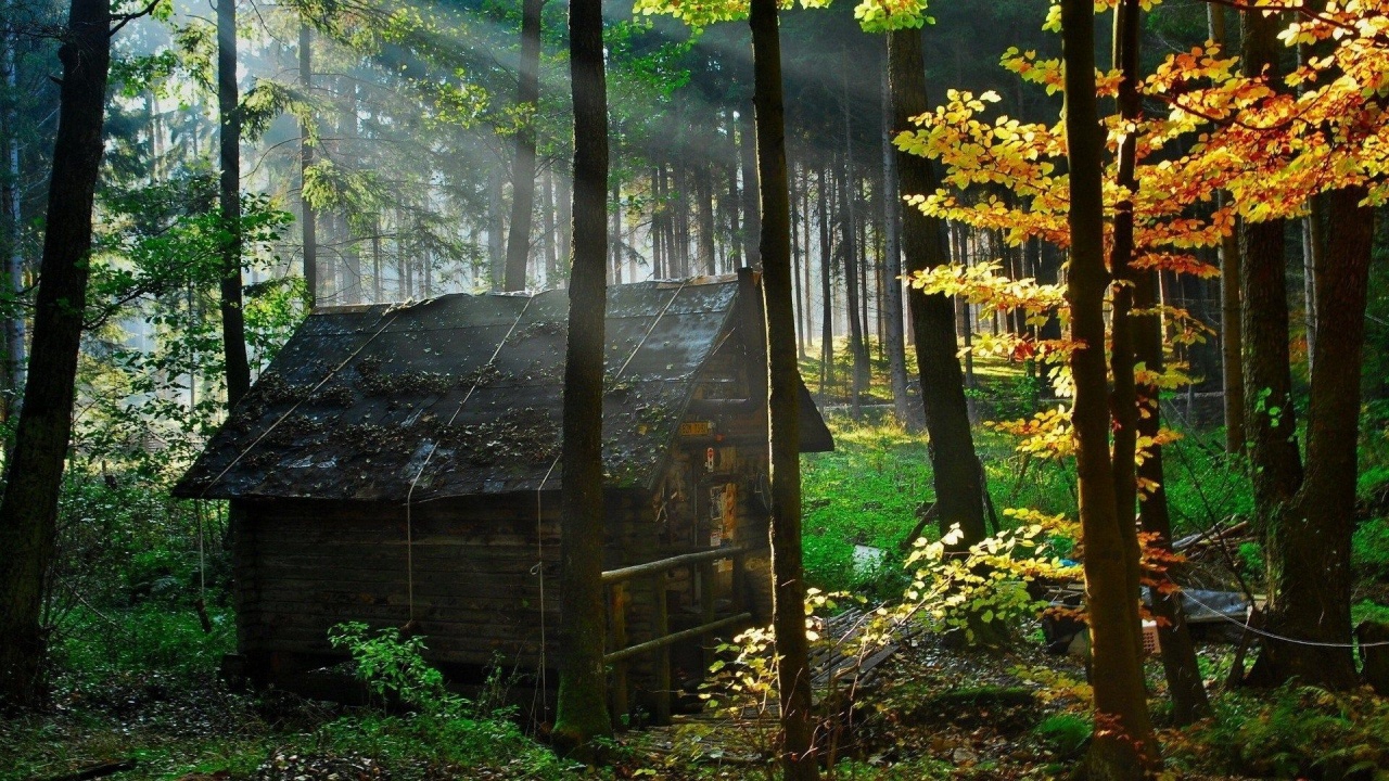 Abandoned Hut Nature Landscapes