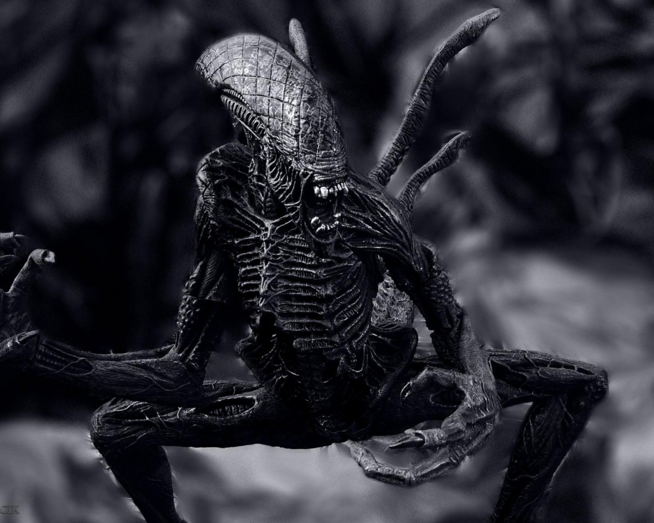 Aliens Xenomorph