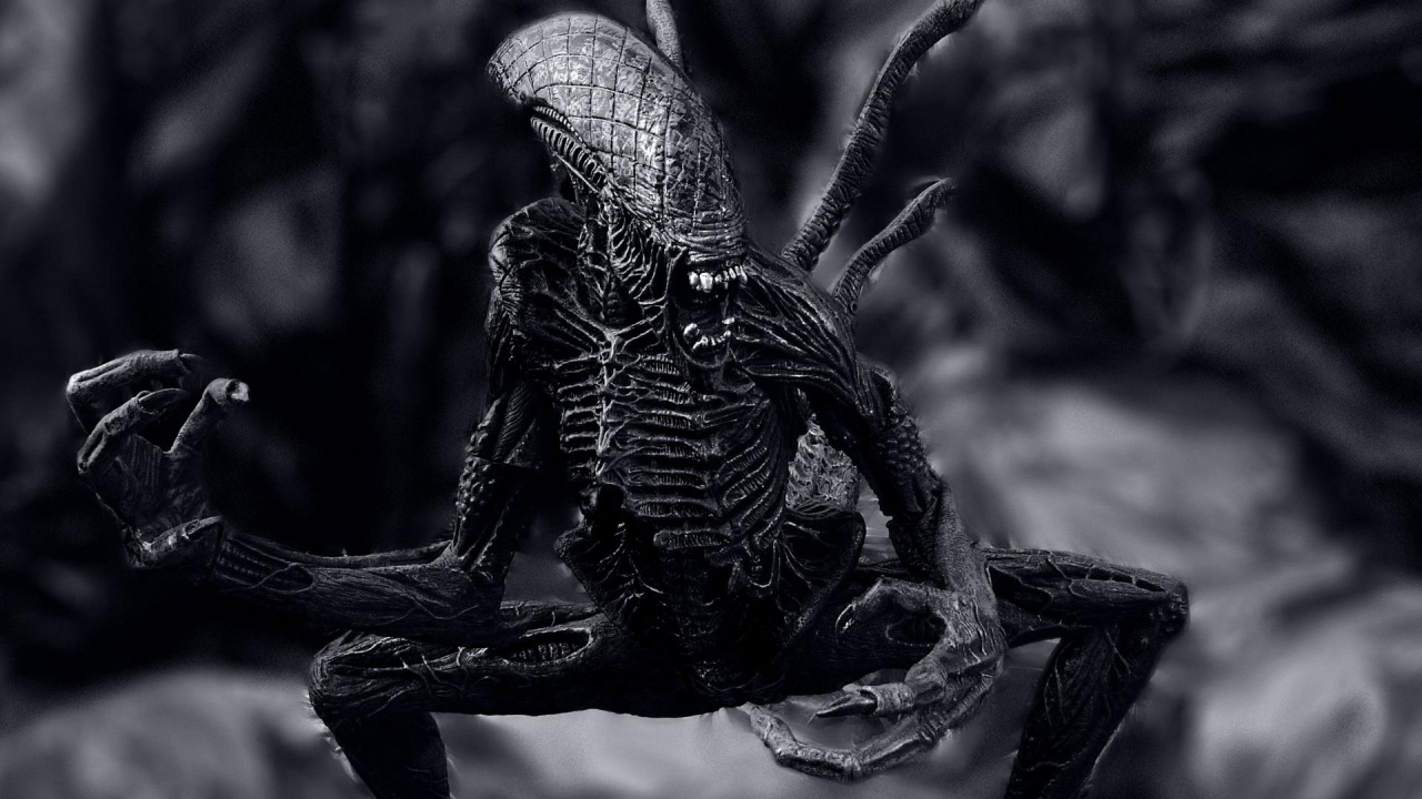 Aliens Xenomorph