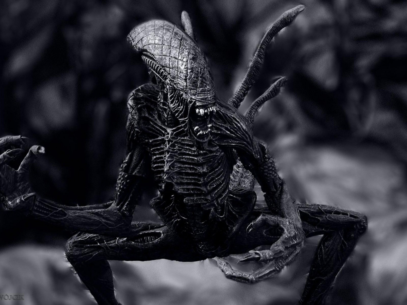 Aliens Xenomorph