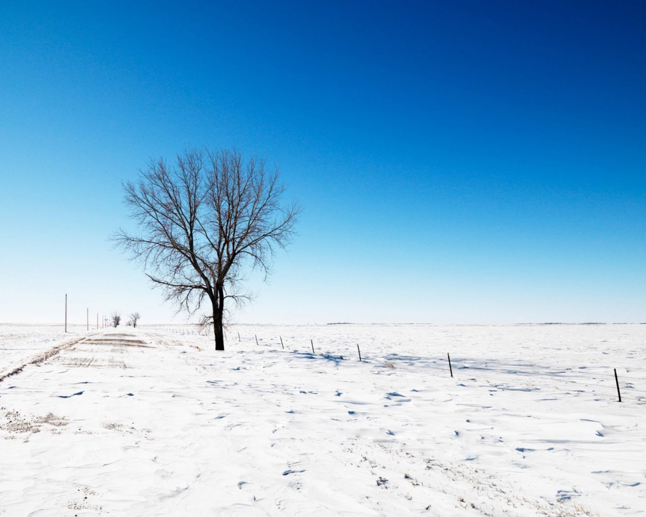 Alone Snow Nature